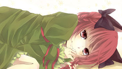 Video Games touhou animal