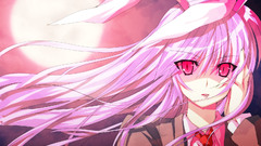 Video Games touhou animal