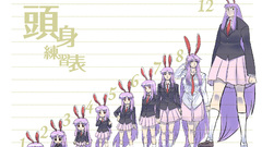 Video Games touhou animal