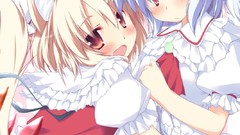 Video games touhou Animals