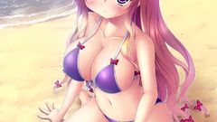 Video games touhou bikini