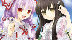 Video games touhou fujiwara