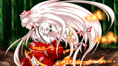 Video Games touhou fujiwara