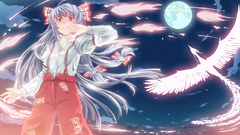 Video Games touhou fujiwara