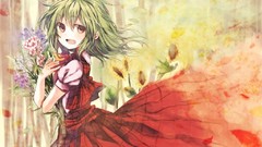 Video games touhou green