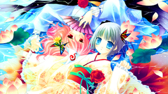 Video Games touhou konpaku