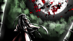 Video games touhou long