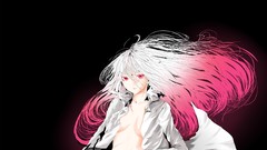 Video games touhou long