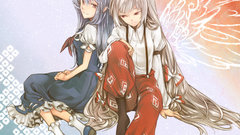 Video Games touhou long