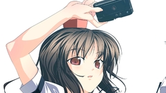 Video games touhou shameimaru