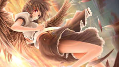 Video games touhou wings