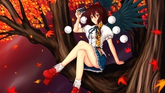 Video games touhou wings