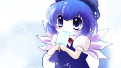 Video games touhou wings