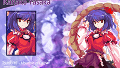 Video Games touhou yasaka