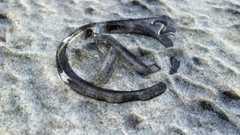 Video Games valve corporation