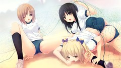 Video games volleyball soft