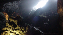 Vietnam halongcave high World