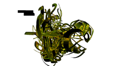 View abstract digital Art