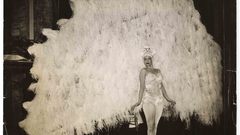 Vintage feathers ballerina dancers