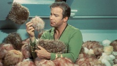 Vintage Star Trek Friends