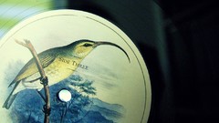 Vinyl disc tracks record