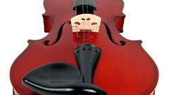 Violins