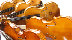 Violins
