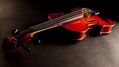 Violins photograph