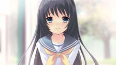 Visual novels flyable heart