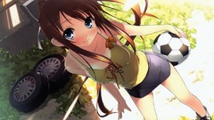 Visual novels natsu no