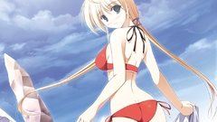 Visual novels primitive link