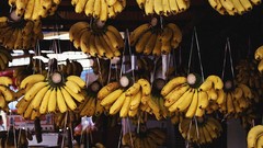 Vitamins fruits fresh strong