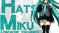 Vocaloid hatsune miku detached