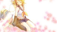 Vocaloid kagamine len kagamine rin detached sleeves