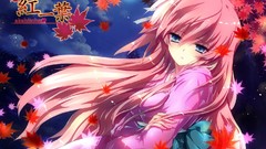 Vocaloid leaves megurine luka