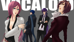 Vocaloid megurine luka kaito