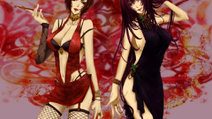 Vocaloid megurine luka meiko