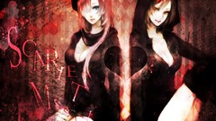 Vocaloid megurine luka meiko