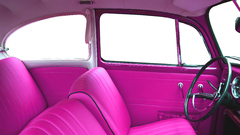 Volkswagen beetle insect