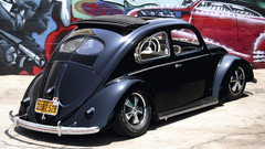 Volkswagen beetle insect