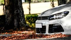 Volkswagen Car white white cars leaves Trees vehicle