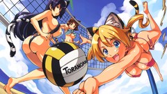 Volleyball Takeda Hiromitsu