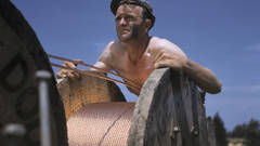 Volt electric power line