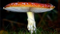 Wab youtube com watch