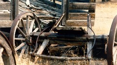 Wagons Art Forms in Nature