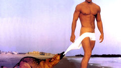 Wahlberg nature beach Dogs