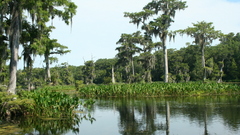 Wakulla Springs fl high