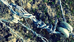 Wall barbed wire