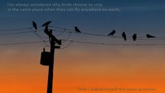 Wall different quote high same Resolution