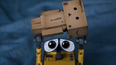 Wall-e danboard